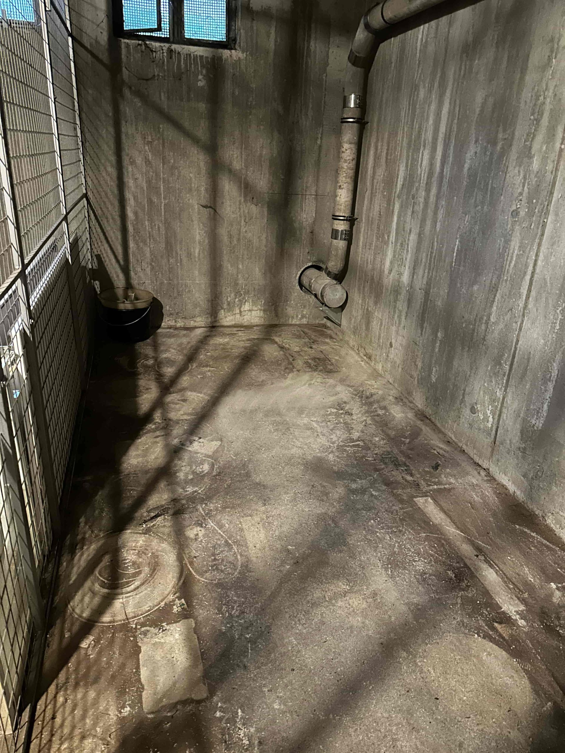 Keller Nachher scaled